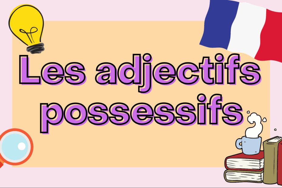 french possessive adjectives - adjectifs possessifs en français